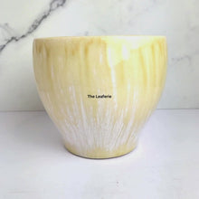 Load and play video in Gallery viewer, Nurmi Flowerpot