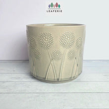 Load and play video in Gallery viewer, Dandelion Flowerpot (2 sizes)