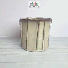 Load and play video in Gallery viewer, Darby Flowerpot