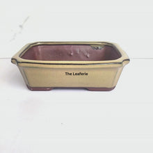 Load and play video in Gallery viewer, Petit Bonsai Flowerpot (Series 4) Rectangular