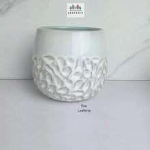 Load and play video in Gallery viewer, Amalia Flowerpot