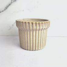 Load and play video in Gallery viewer, The Leaferie Willow beige flowerpot. ceramic material