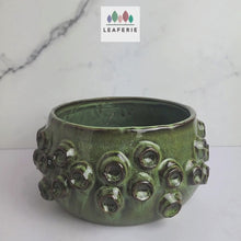 Load and play video in Gallery viewer, Harper Flowerpot