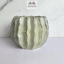 Load and play video in Gallery viewer, Haruka Flowerpot