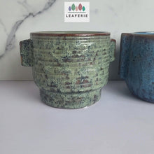 Load and play video in Gallery viewer, Etain Flowerpot