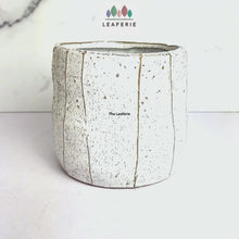 Load and play video in Gallery viewer, Britt Flowerpot