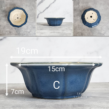Load image into Gallery viewer, The Leaferie Bonsai tally series 2 . front photo of Pot C