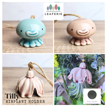 Load image into Gallery viewer, Tilly Airplant Holder
