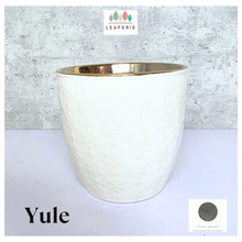 Load image into Gallery viewer, Yule Flowerpot