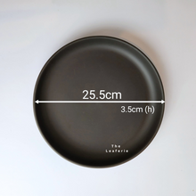 Load image into Gallery viewer, Zisha Large Trays (3 Colours)