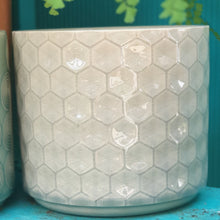 Load image into Gallery viewer, The Leaferie Diamante pot. ceramic 3 colours grey, blush and blue . front view of grey