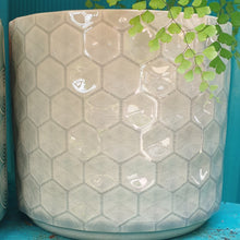 Load image into Gallery viewer, Diamante Pot