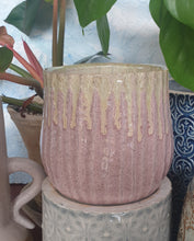 Load image into Gallery viewer, Rossetto Pot