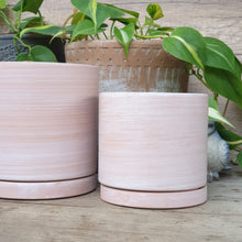 Load image into Gallery viewer, The Leaferie Terracotta pot. 3 sizes . comes with matching tray. Front view of Mini size