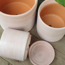 Load image into Gallery viewer, The Leaferie Terracotta pot. 3 sizes . comes with matching tray. Front view of all 3 pots