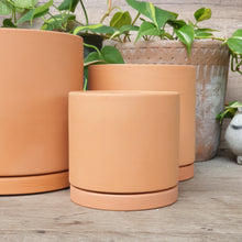 Load image into Gallery viewer, The Leaferie Terracotta Trio E flowerpot. 2 sizes. comes with matching tray. front view of petit size