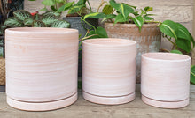 Load image into Gallery viewer, The Leaferie Terracotta pot. 3 sizes . comes with matching tray. Front view of all 3 pots