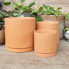 Load image into Gallery viewer, The Leaferie Terracotta Trio E flowerpot. 2 sizes. comes with matching tray. front view