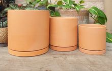 Load image into Gallery viewer, The Leaferie Terracotta Trio E flowerpot. 2 sizes. comes with matching tray. front view