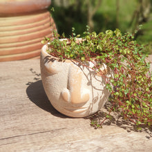 Load image into Gallery viewer, RapaNui Flowerpot