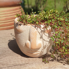 Load image into Gallery viewer, RapaNui Flowerpot