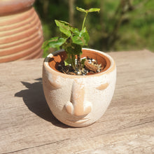 Load image into Gallery viewer, The Leaferie Rapanui terracotta pot