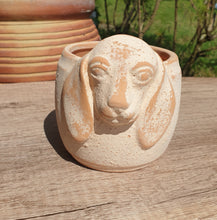 Load image into Gallery viewer, The Leaferie Rapanui terracotta pot
