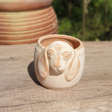 Load image into Gallery viewer, The Leaferie Rapanui terracotta pot