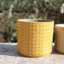 Load image into Gallery viewer, The Leaferie Corsica plant pot. 2 sizes. front view of mustard,