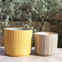 Load image into Gallery viewer, The Leaferie Corsica plant pot. 2 sizes. front view of mustard, mocca