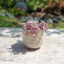 Load image into Gallery viewer, The Leaferie cleopatra plant pot with flowers front view