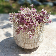 Load image into Gallery viewer, The Leaferie cleopatra plant pot with flowers close up front view