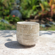 Load image into Gallery viewer, The Leaferie cleopatra plant pot front view