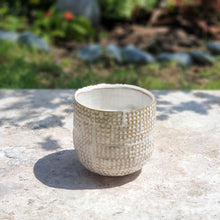 Load image into Gallery viewer, The Leaferie cleopatra plant pot top view