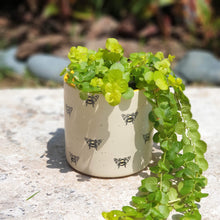 Load image into Gallery viewer, The Leaferie Bumblebee plant pot . front view . ceramic bee planter