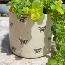 Load image into Gallery viewer, The Leaferie Bumblebee plant pot . front view . ceramic bee planter. close up