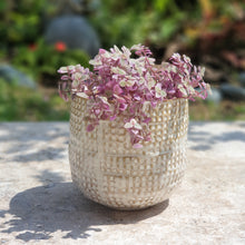 Load image into Gallery viewer, The Leaferie cleopatra plant pot with flowers front view
