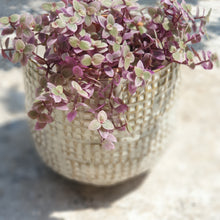 Load image into Gallery viewer, The Leaferie cleopatra plant pot with flowers front view