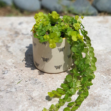 Load image into Gallery viewer, The Leaferie Bumblebee plant pot . front view . ceramic bee planter