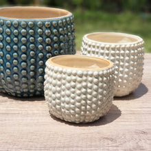 Load image into Gallery viewer, The Leaferie nicoya flowerpot. 3 colours and sizes.
