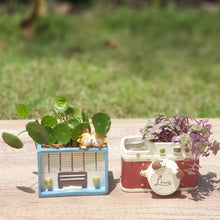 Load image into Gallery viewer, The Leaferie Retro flowerpot. resin material. radio and camera design