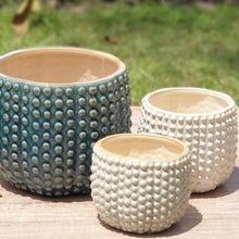Load image into Gallery viewer, Nicoya Flowerpot
