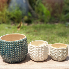 Load image into Gallery viewer, The Leaferie nicoya flowerpot. 3 colours and sizes.