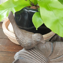 Load image into Gallery viewer, The Leaferie Barry Cast Iron bird tray. close up of bird
