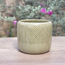 Load image into Gallery viewer, The Leaferie Thanos ceramic pot. 3 colours