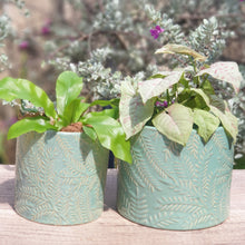 Load image into Gallery viewer, The Leaferie Majorca ceramic pot. 2 colours