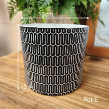 Load image into Gallery viewer, As-Is Pots Batch November 2022 (6 Items)