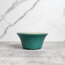 Load image into Gallery viewer, Tally Bonsai Flowerpot (Series 2)