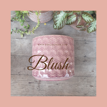 Load image into Gallery viewer, The Leaferie Diamante pot. ceramic 3 colours grey, blush and blue . front view of blush