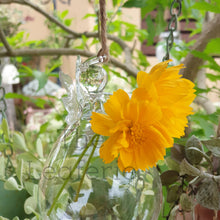 Load image into Gallery viewer, The Leaferie Hanging glass angel vase / pot